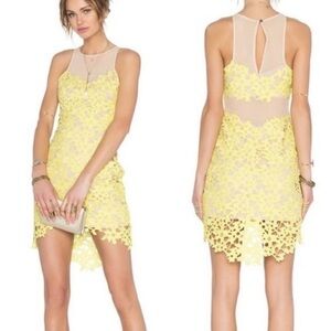 Lovers & friends Larissa lace dress